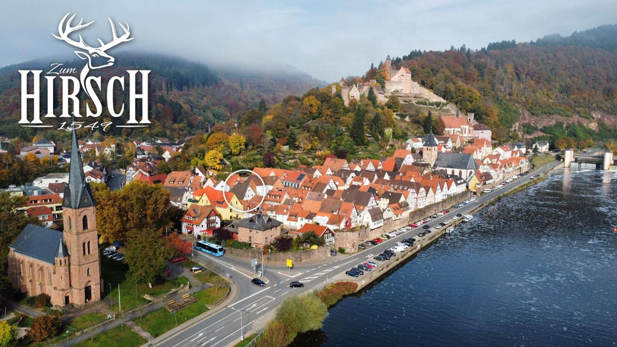 Appartement Schlossberg, Gasthaus Hirsch Hirschhorn Esterno foto